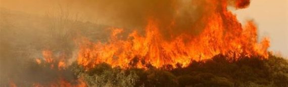 Σέιχ Σου: Πυρκαγιά σημειώθηκε πριν λίγη ώρα